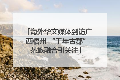海外华文媒体到访广西梧州 “千年古郡”茶旅融合引关注